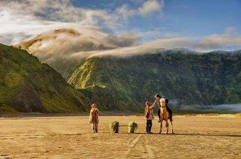 Sedulur Homestay Bromo Exterior photo